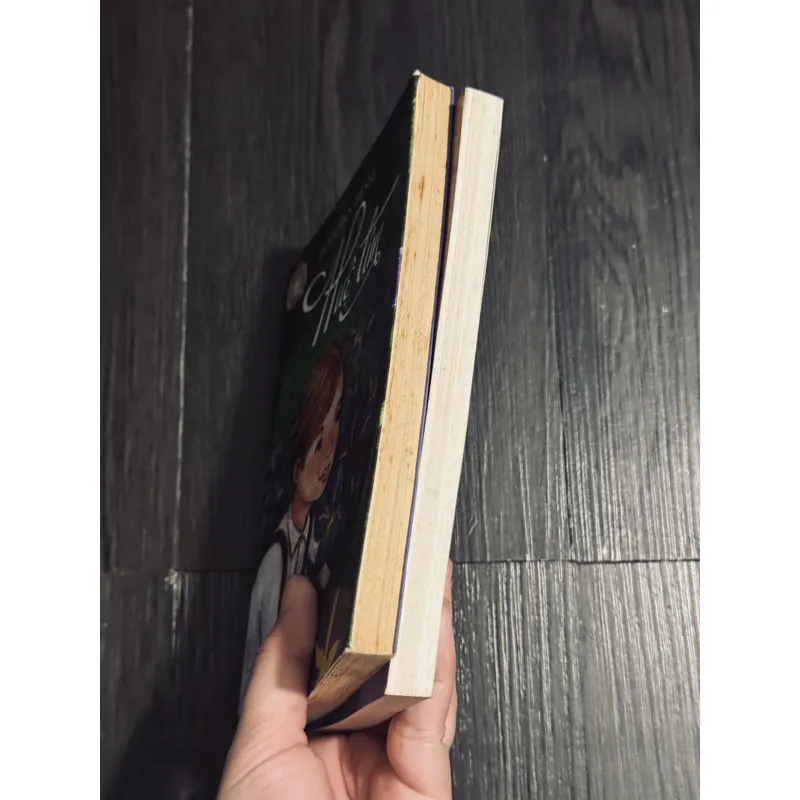 Combo Huệ tím + Đâu mái nhà xưa 690050