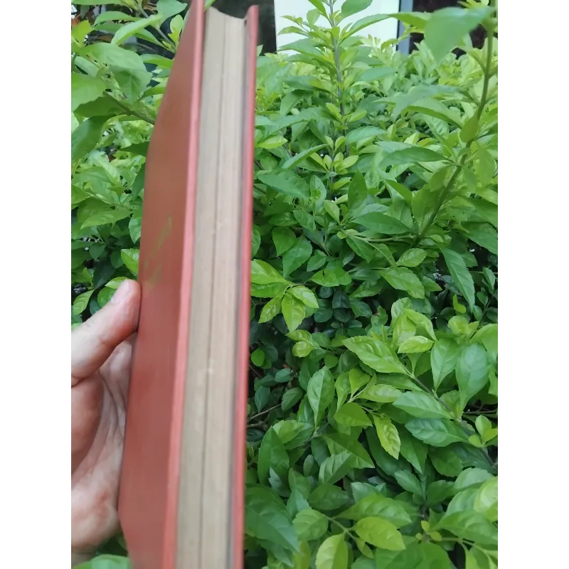 Các vĩ nhân tỉnh lẻ tập truyện của Dương Thu Hương 974254