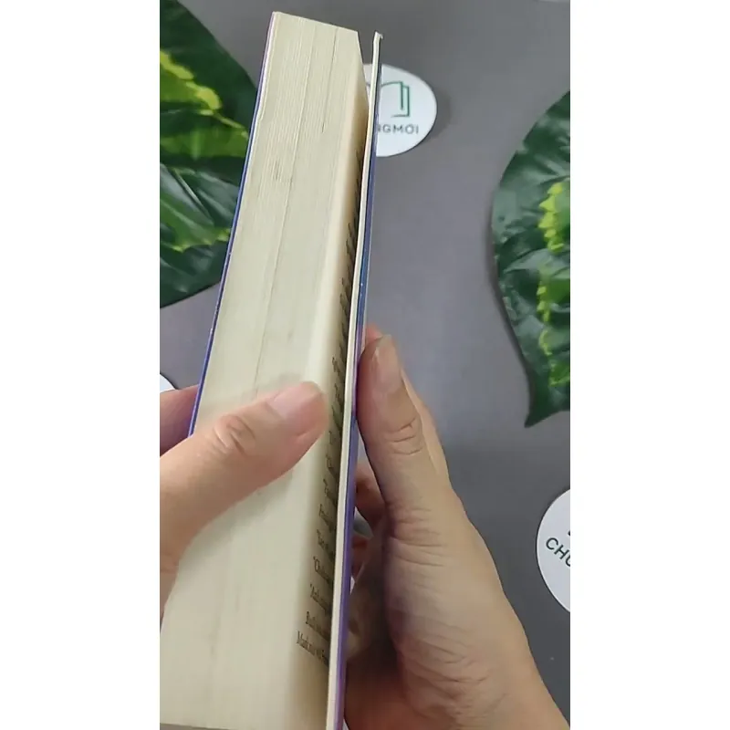 Tuần Lê Náu Mình (2017) - Maeve Binchy 604469