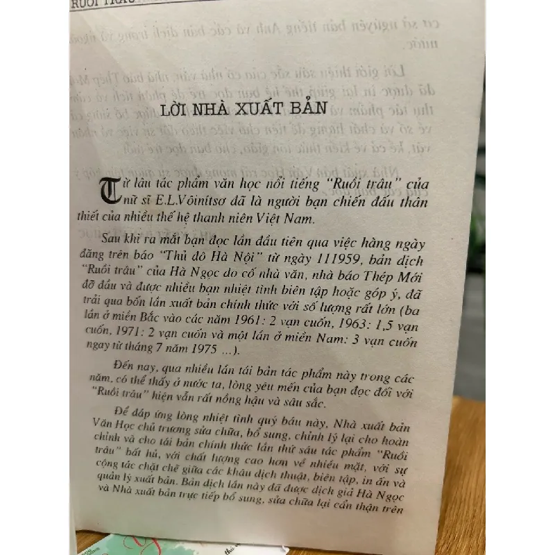 Ruồi trâu – Eten Li-Li-An Voi-Nit-Sơ 568115