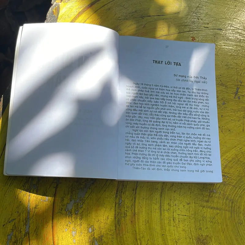 COMBO PHẬT GIÁO HOÀ HẢO- NHẬN THỨC PHẬT GIÁO HOÀ HẢO & SẤM GIẢNG THI VĂN GIÁO LÝ 687924