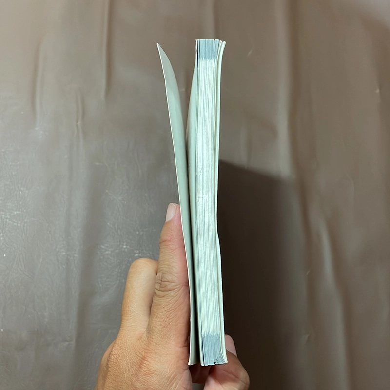 II Tựa sách: Mình Sẽ Đi Cuối Đất Cùng Trời - Nguyễn Phong Việt - 2019 523134