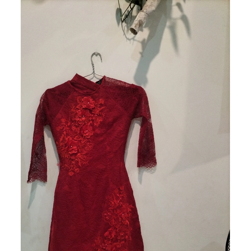 Bộ áo và chân vây 537999