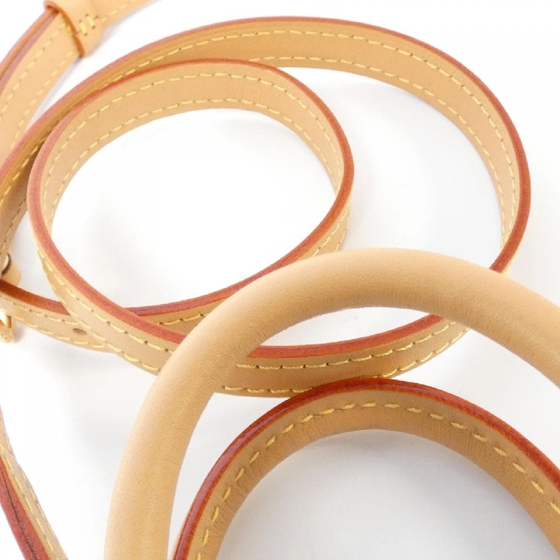 Túi xách Louis Vuitton Monogram Petit Sac Plat M81295 620188