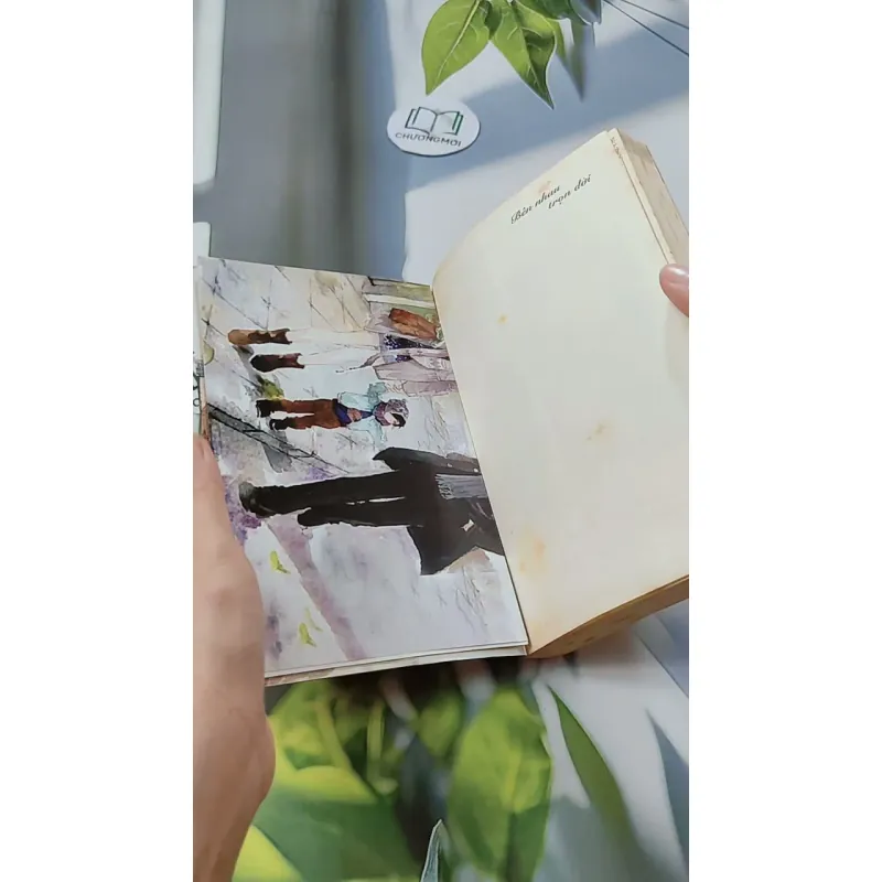 Bên Nhau Trọn Đời - Cố Mạn 744696