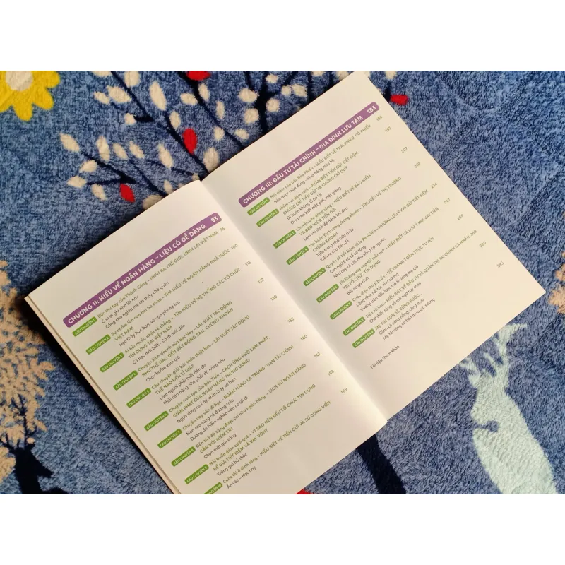 Khéo Khôn Với TIỀN, Tránh Những Ưu Phiền - Lê Thị Thúy Sen & Thăng Fly 1003107