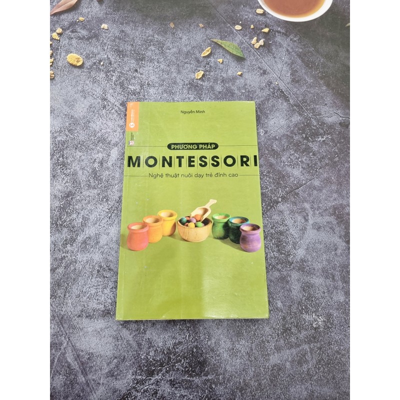 Phương pháp Montessori – Nghệ thuật nuôi dạy trẻ đỉnh cao 181064