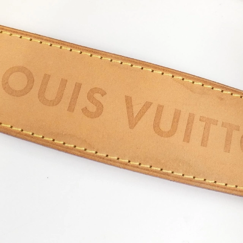 Túi xách vai Louis Vuitton Monogram Delightful PM M40352 611379