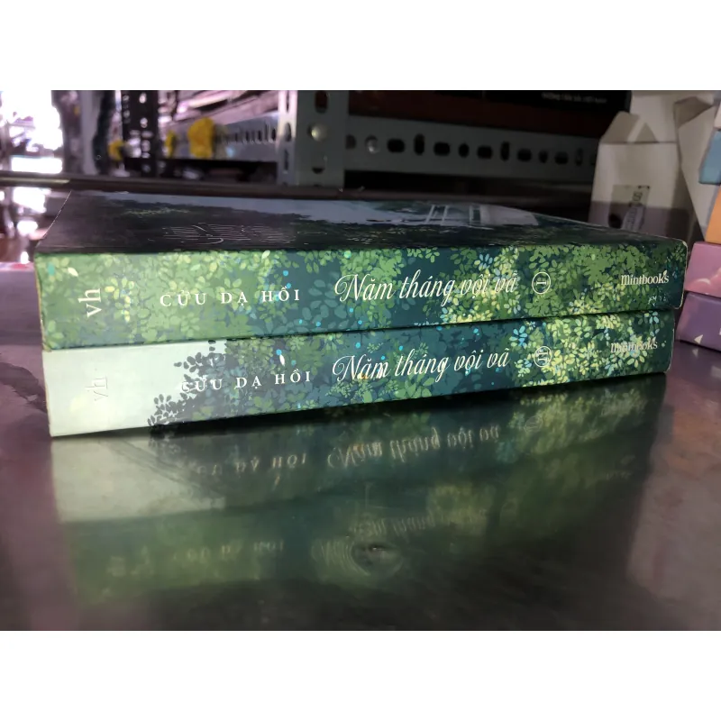 Năm tháng vội vã - Cửu Dạ Hồi 975134