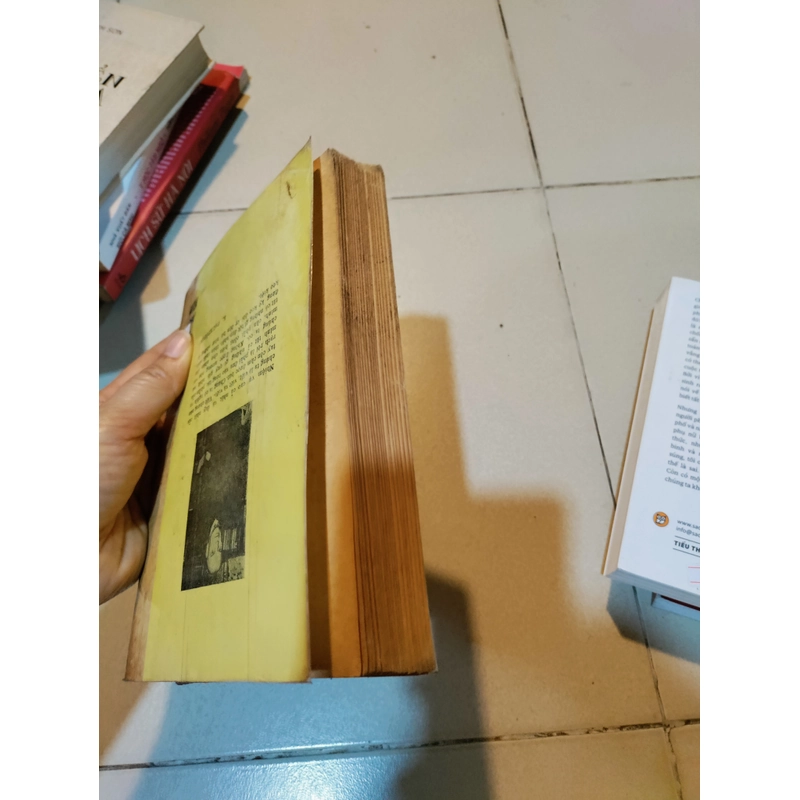 Một mình với mùa thu 458832