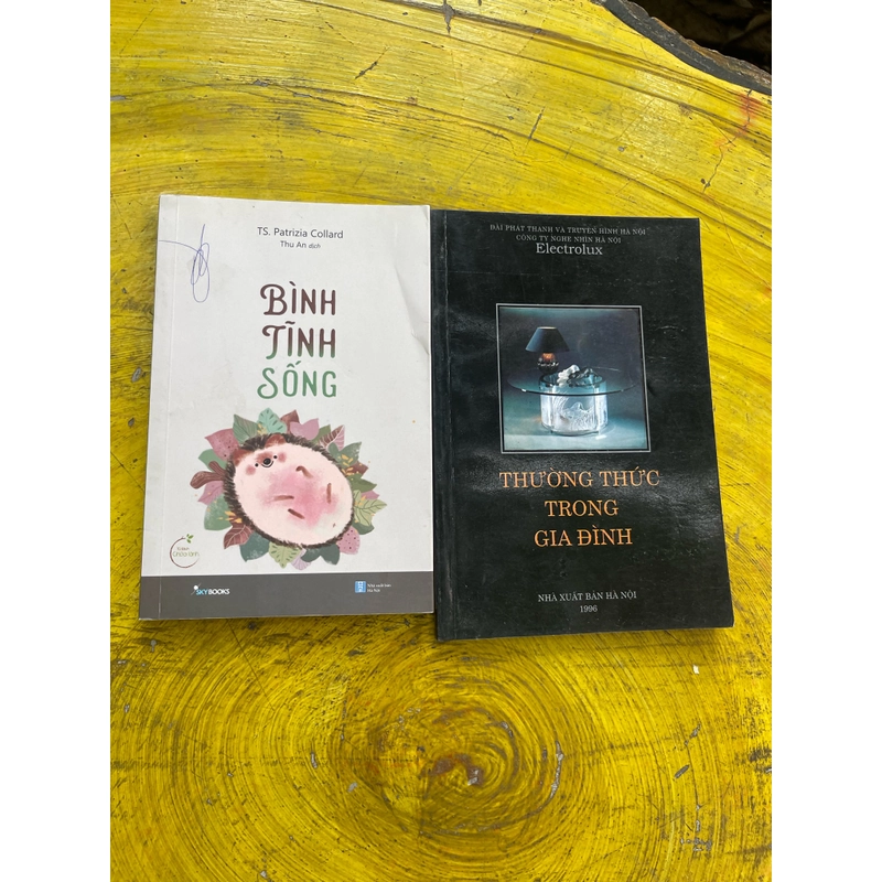Combo BÌNH TĨNH SỐNG ( T.S Patrizia Collard)- THƯỜNG THỨC TRONG GIA ĐÌNH 537015