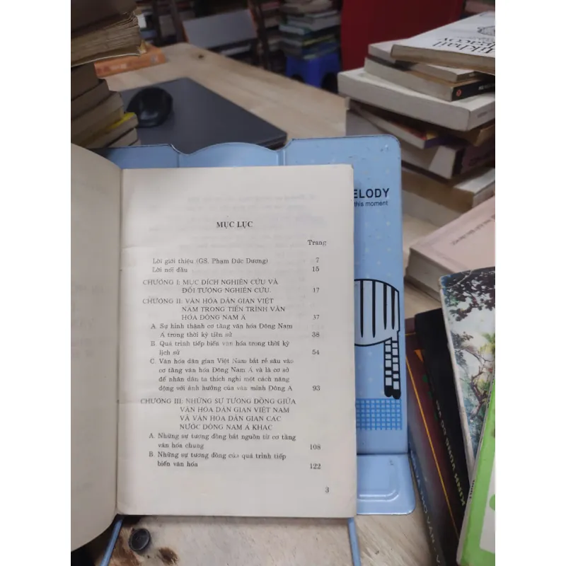 Sách: Văn hoá dân gian Việt Nam trong bối cảnh văn hoá ĐNA (A3) 693269