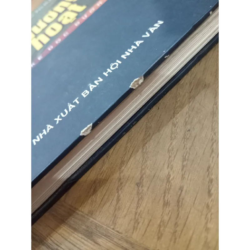 Phi thương bất hoạt - Nguyễn Đắc Như 607030