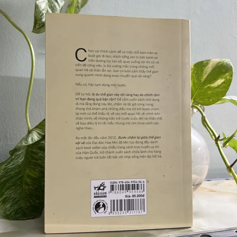 Bước chậm lại giữa thế gian vội vã 746083