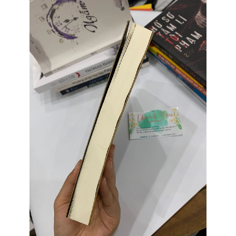 Hoàng Lê Nhất Thống Chí - Ngô Gia Văn Phái 543202