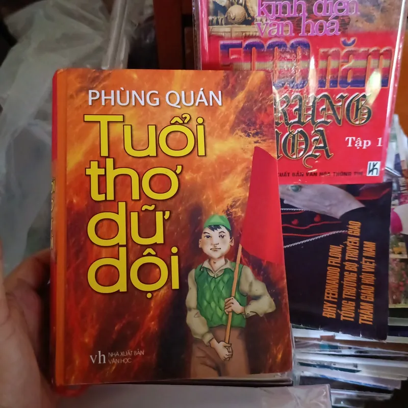 Tuổi thơ dữ dội  1061516