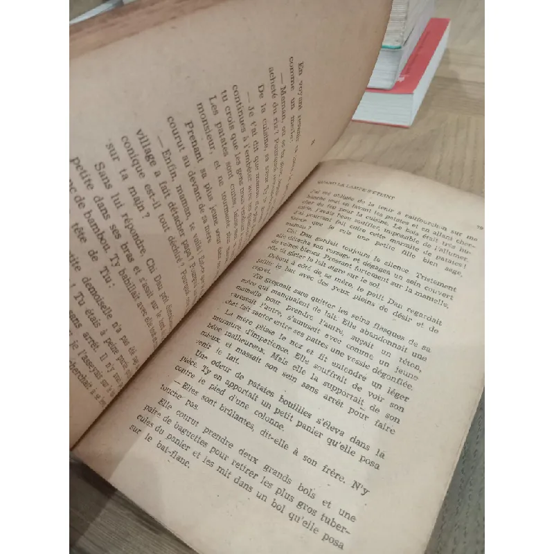 Quand la lampe s'éteint - Ngo Tat To 716306