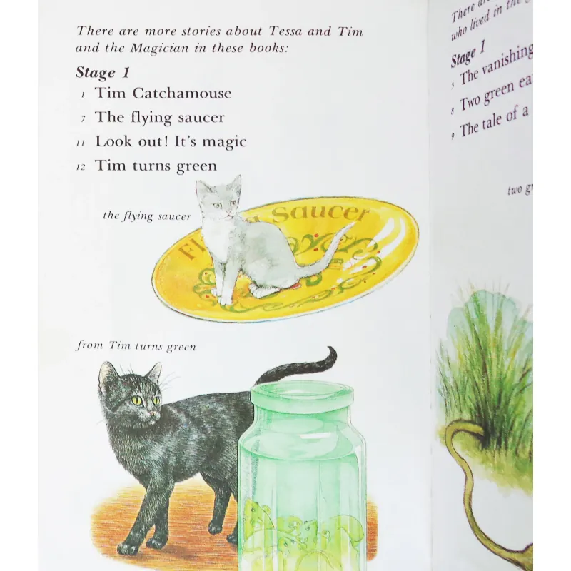 Tessa and the Magician 8097