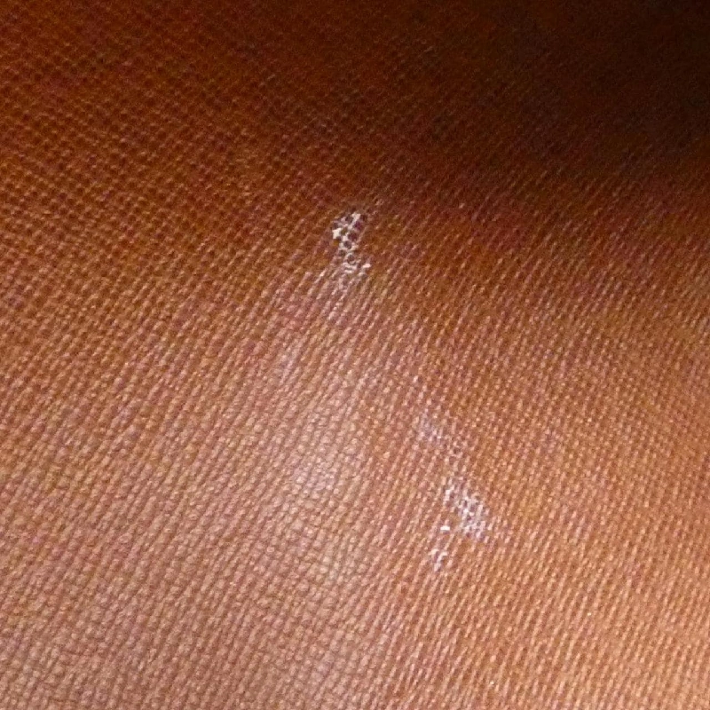 Túi Louis Vuitton Monogram Papillon 30cm M51385 618614