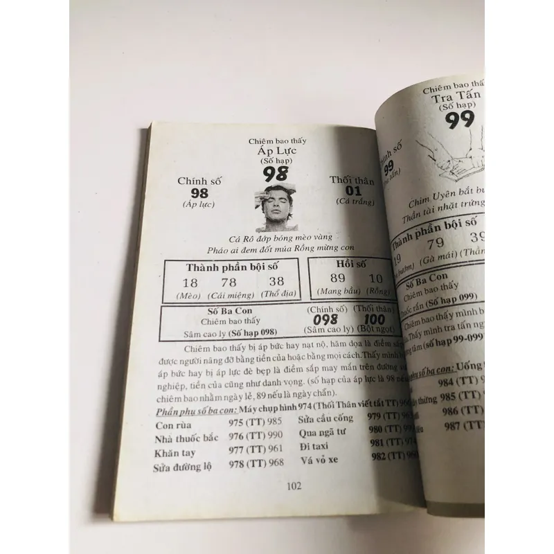 BÁCH THIÊN DIỄN SỐ 700981