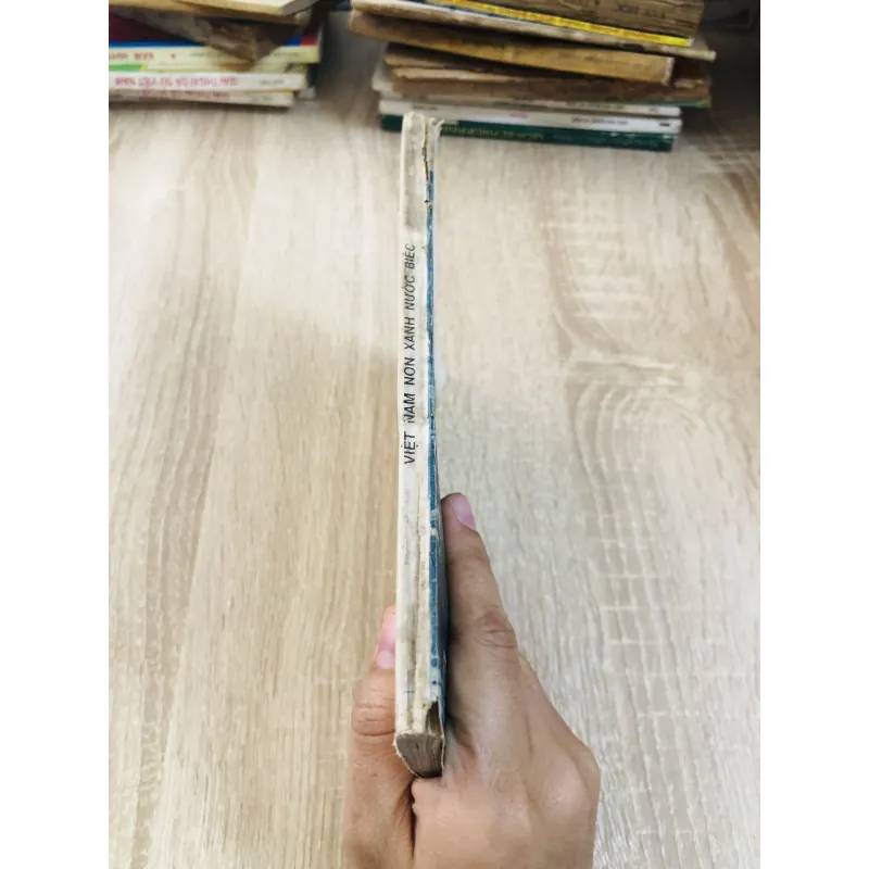 VIỆT NAM NON XANH NƯỚC BIẾC 929077