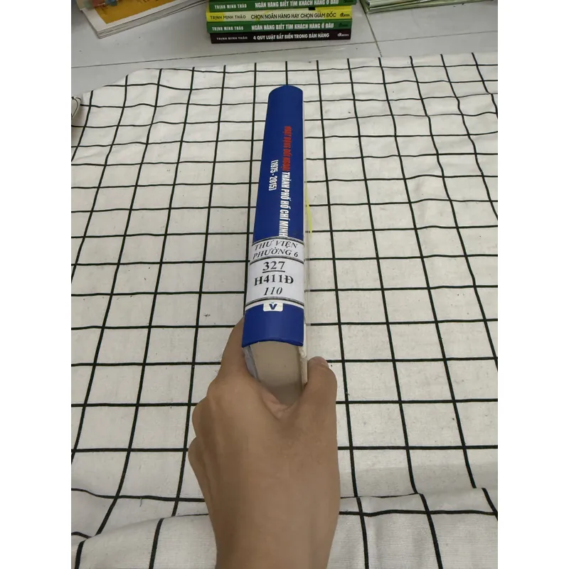 Hoạt động đối ngoại TP Hồ Chí Minh 1975-2015 656607