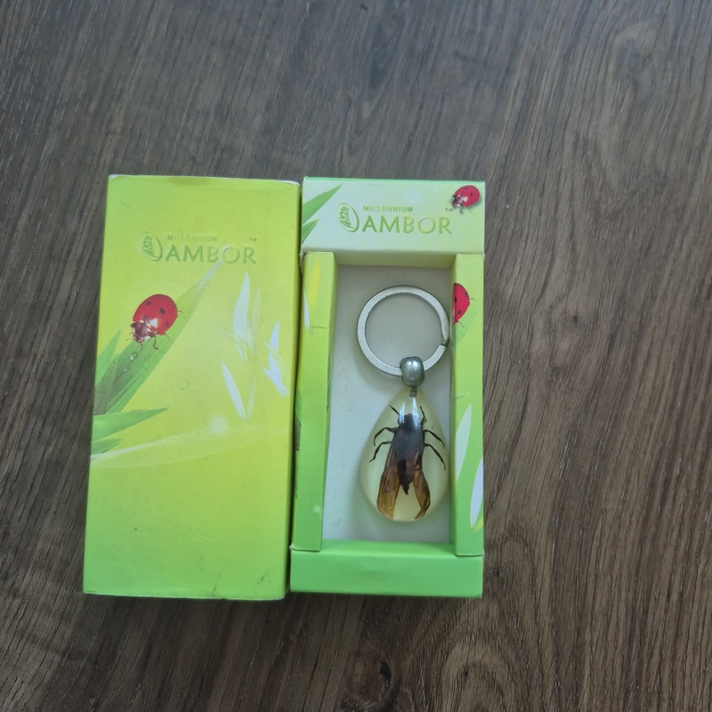 🪲 Móc Khóa Bọ Cánh Cứng Resin – Millennium Ambor 499067