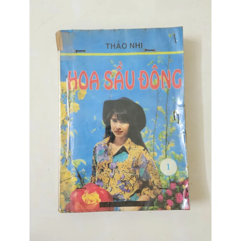 HOA SẦU ĐÔNG, tiểu thuyết lãng mạn Việt Nam của tác giả Thảo Nhi 703540
