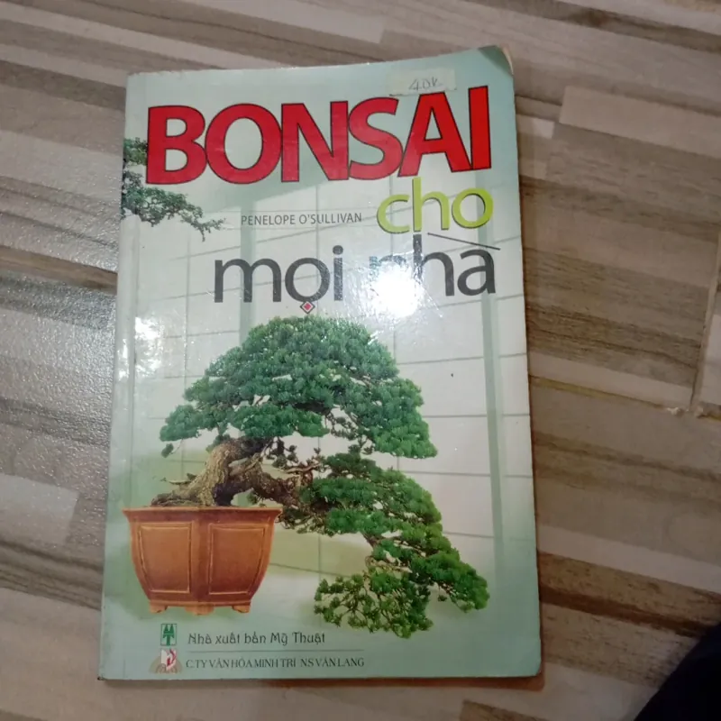 Bonsai cho mọi nhà 971323