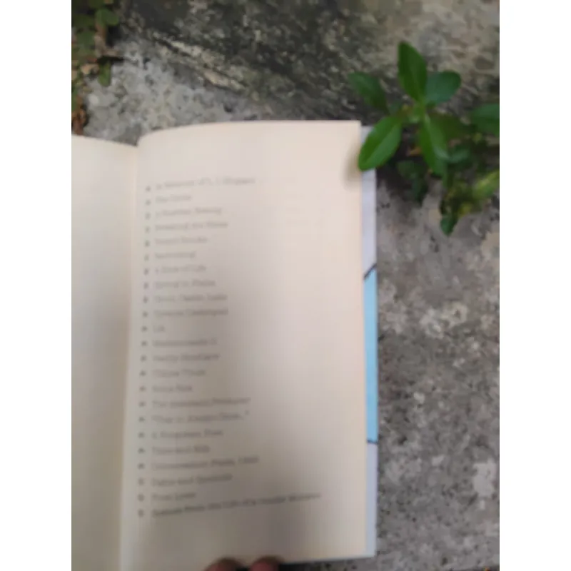 Mây hồ tháp tập truyện ngắn Vladimir Nabokov 1019237