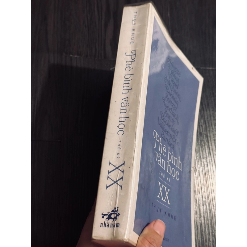 Phê bình văn học thế kỷ XX - Thuỵ Khuê 497952