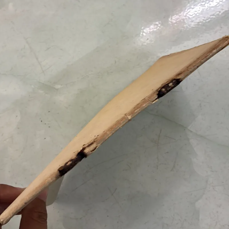 Rừng tràm trước mùa xuân - Lê Thanh Nghị - 1986s 996186