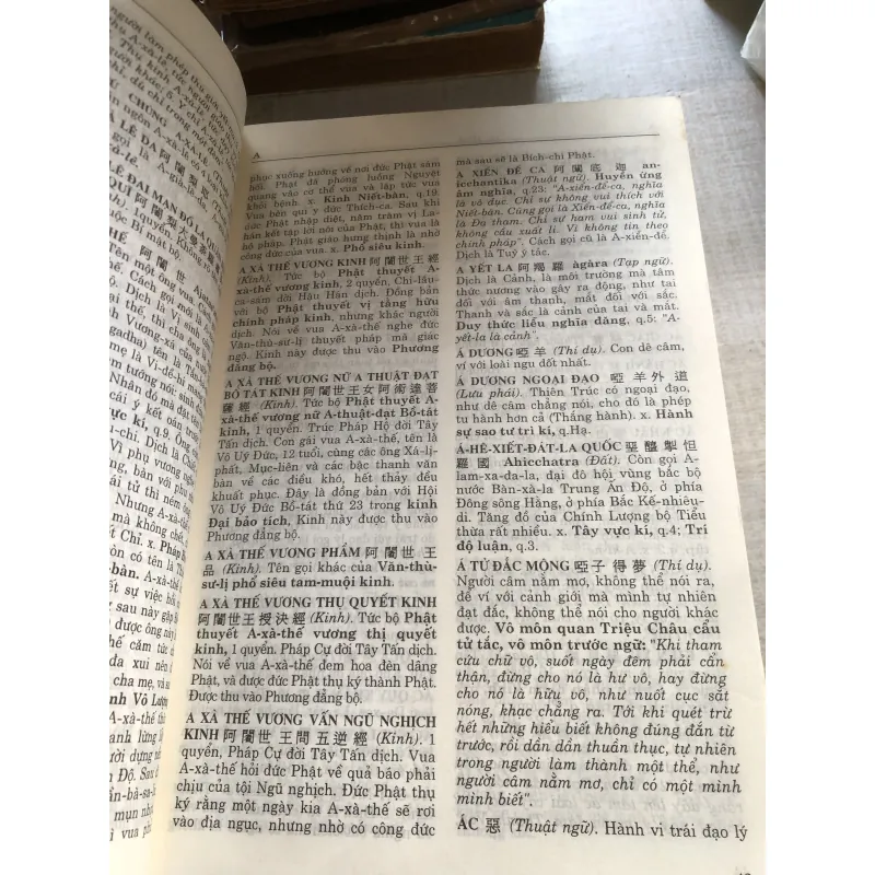 Từ điển Phật học Hán - Việt  782901