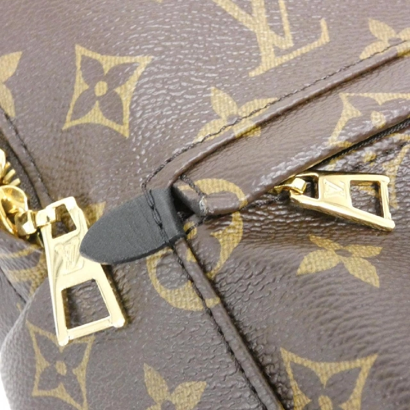 Ba lô Louis Vuitton Monogram Palm Springs PM M44871 608327