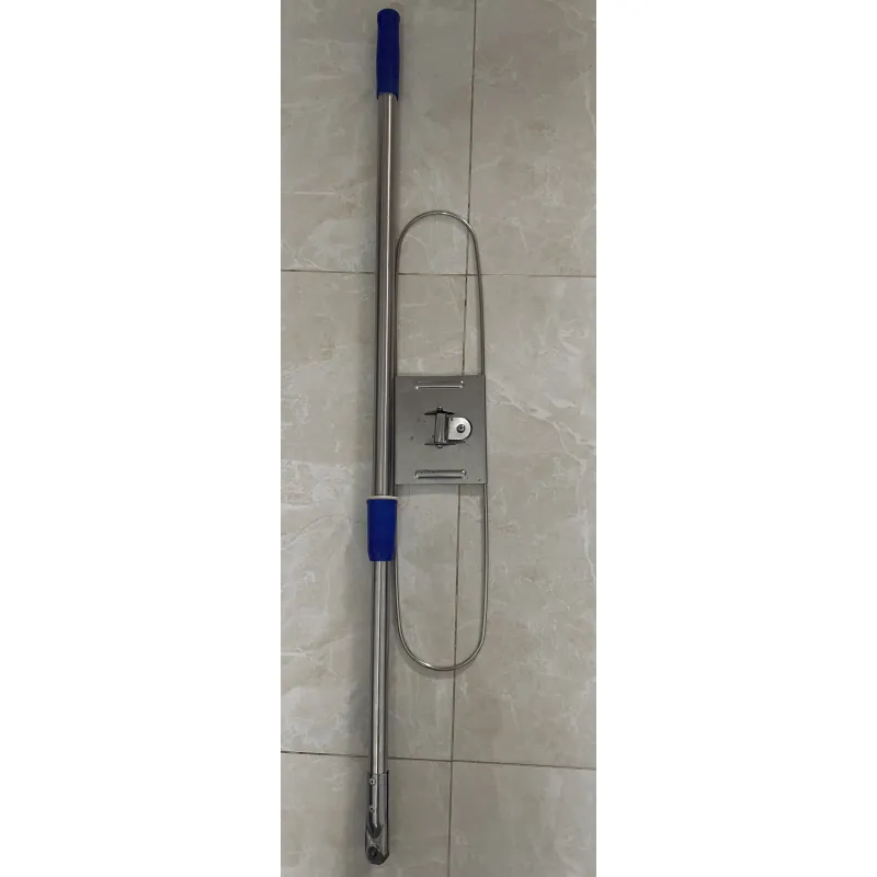 cây lau nhà  790725