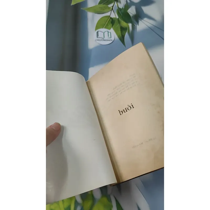 [XƯA] Bưởi - Sách Phật Giáo (1986) - Thích Nhất Hạnh       775988