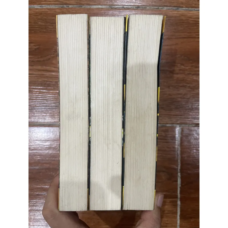 Pháp Thuật - Kinh Công - Y Thuật  Septimus Heap - Angie Sage - 3 tập (4) 596449