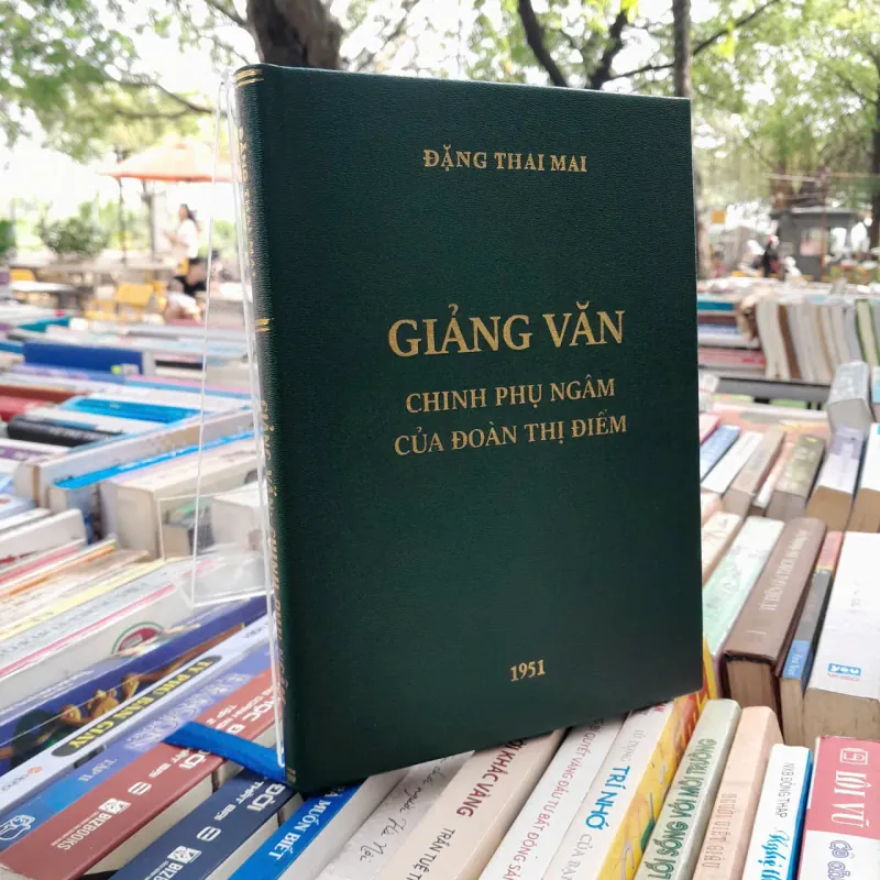 GIẢNG VĂN CHINH PHỤ NGÂM CỦA ĐOÀN THỊ ĐIỂM  - ĐẶNG THAI MAI 641034