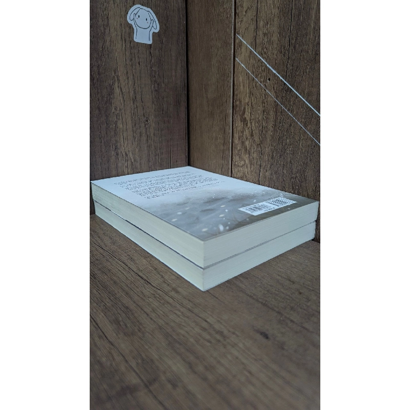 Du long tùy nguyệt - Nhĩ Nhã 1013111