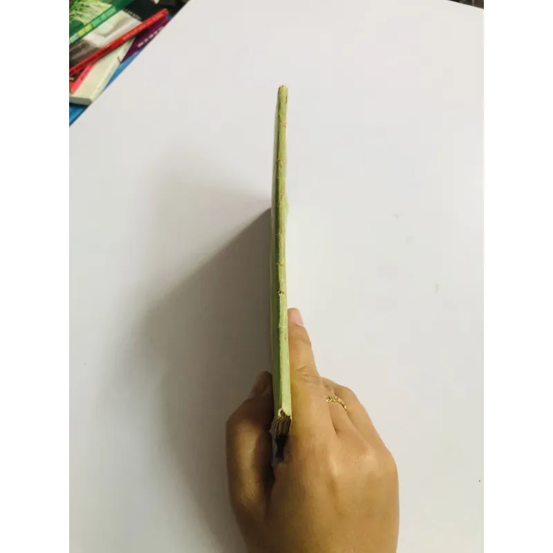 THÀNH CÁT TƯ HÃN (Gengis Khan) 795524