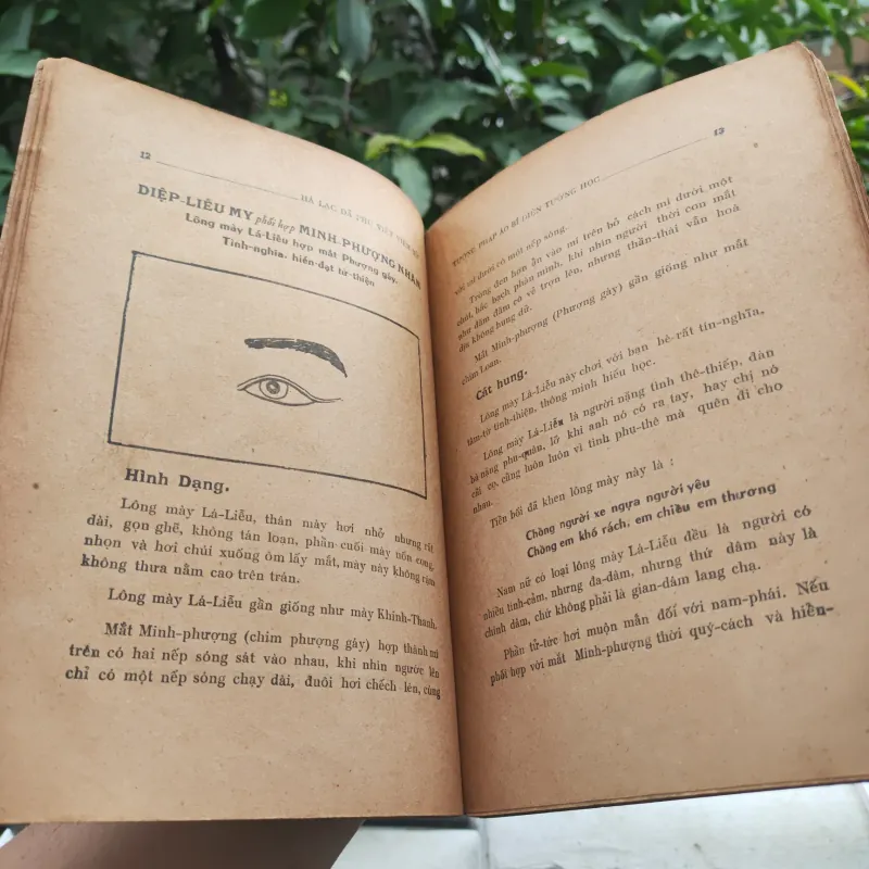 Tướng Pháp Áo Bí 928912