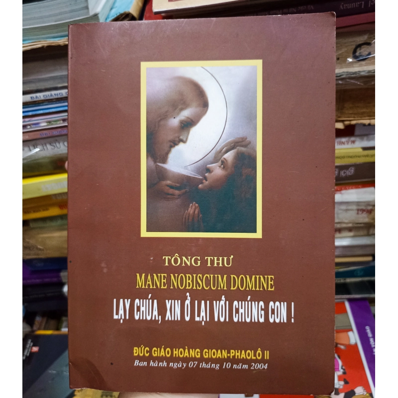 Tông Thư Mane Nobiscum Domine Lạy Chúa, Xin Ở Lại Với Chúng Con 🌻 518251