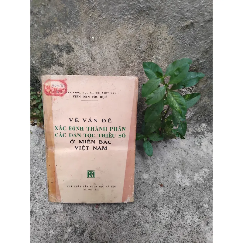 Về vấn đề xác định thành phần các dân tộc thiểu số ở miền Bắc Việt Nam  1019173