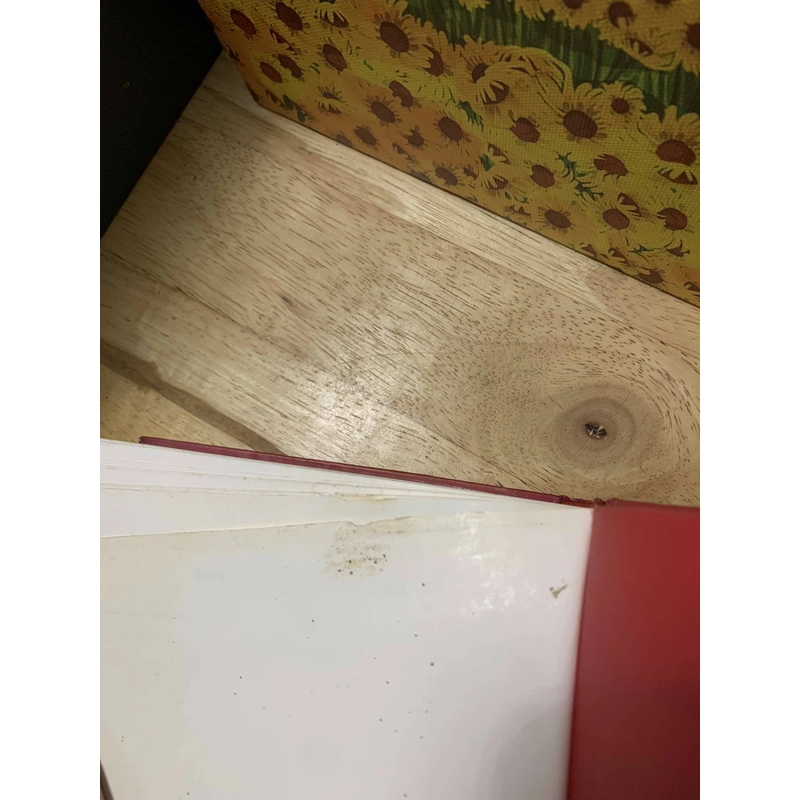 Việt Nam Phật giáo Sử Luận - Nguyễn Lang (Thích Nhất Hạnh) 542003