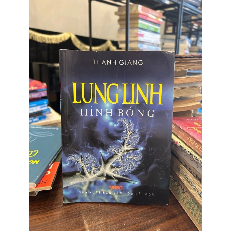 Lung linh hình bóng- Thanh Giang 930756