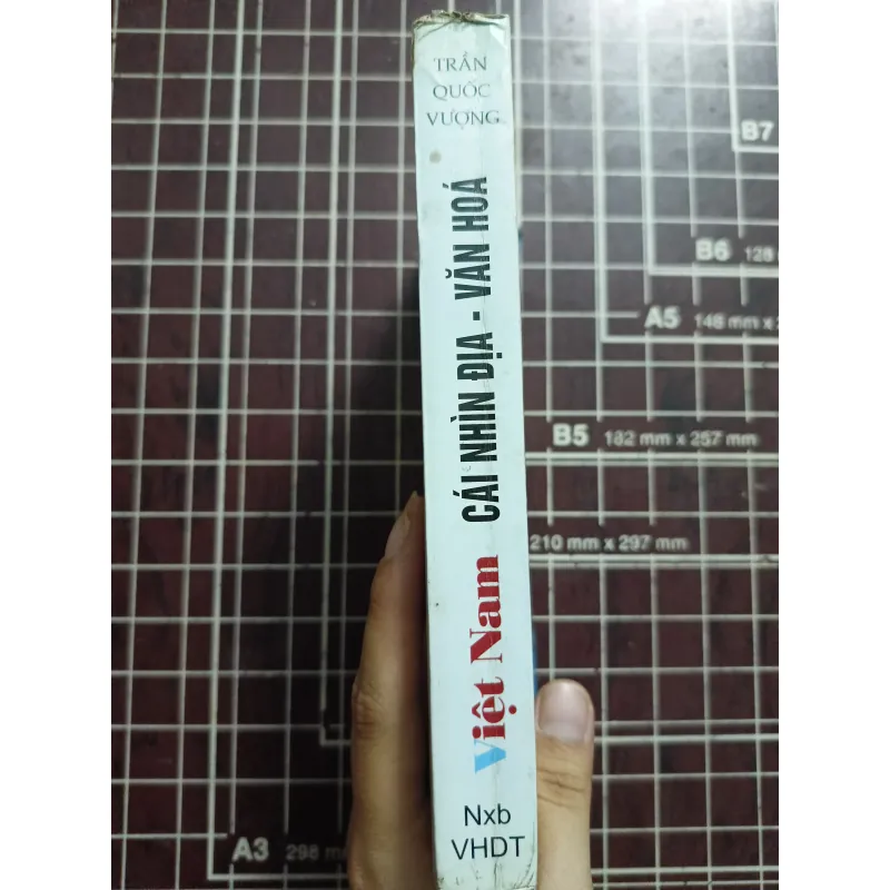 Việt Nam cái nhìn địa - văn hóa - Trần Quốc Vượng 731169