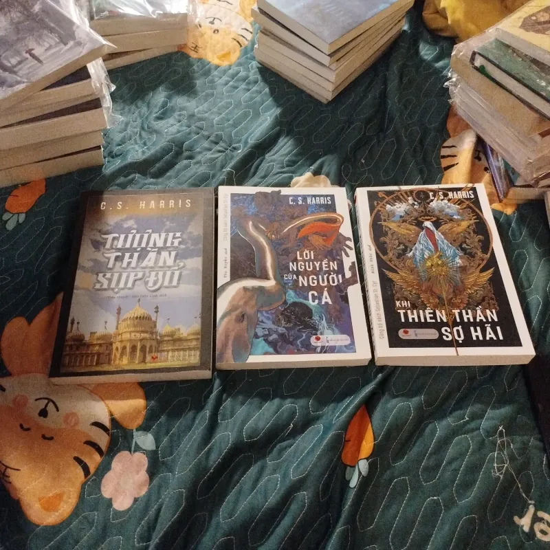 Combo sách C. S. Harris  957000
