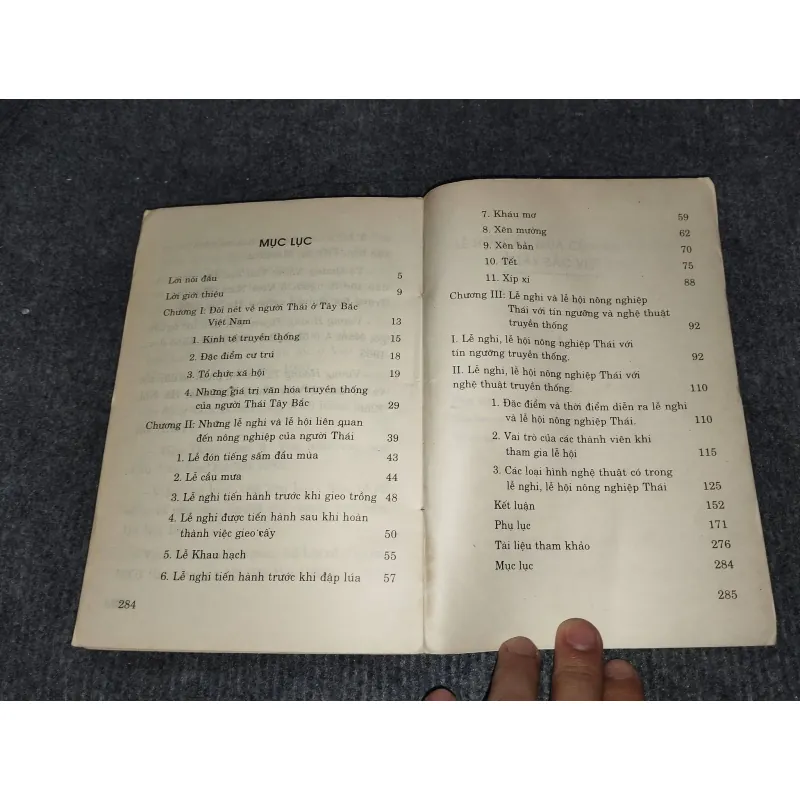 LỄ HỘI CẦU MÙA CỦA NGƯỜI THÁI Ở TÂY BẮC VIỆT NAM 992525