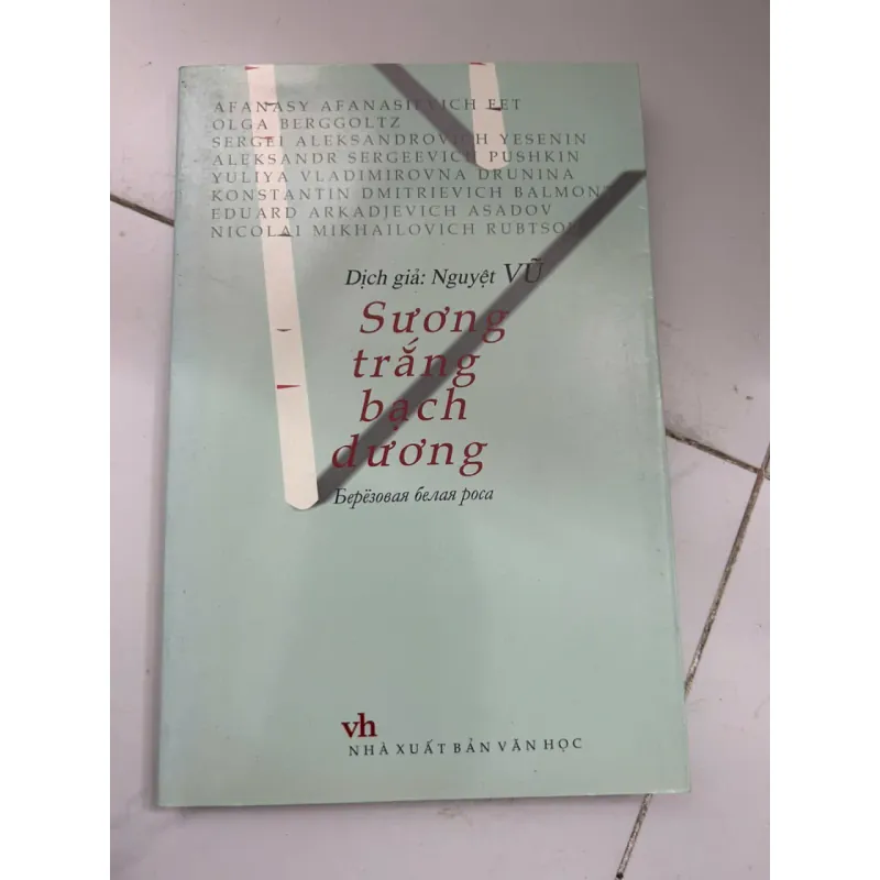 Sương Trắng Bạch Dương 696164