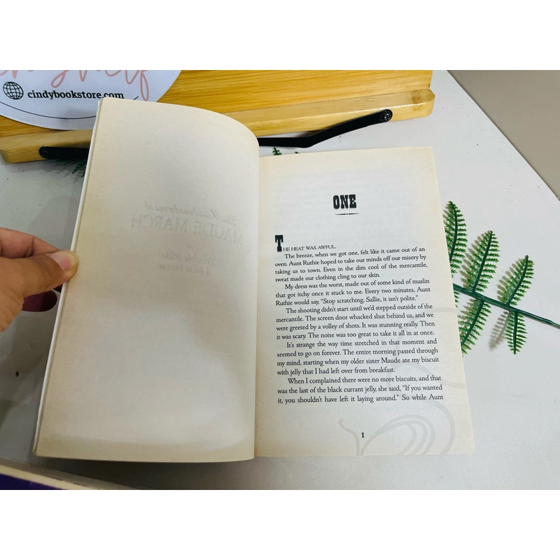 [Sách 2hand từ US] Like new 90% - The Misadventures of Maude March của Audrey Couloumbis  476677